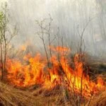 На Закарпатті оголосили про пожежну небезпеку